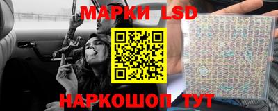 гашик Новозыбков
