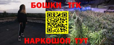 гашик Новозыбков
