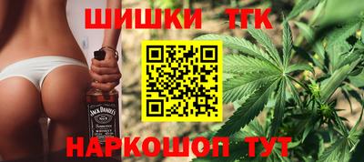 гашик Новозыбков
