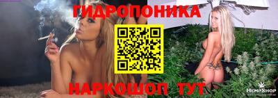 jwh Новокубанск