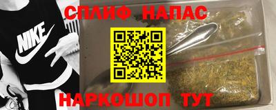 гашик Новозыбков
