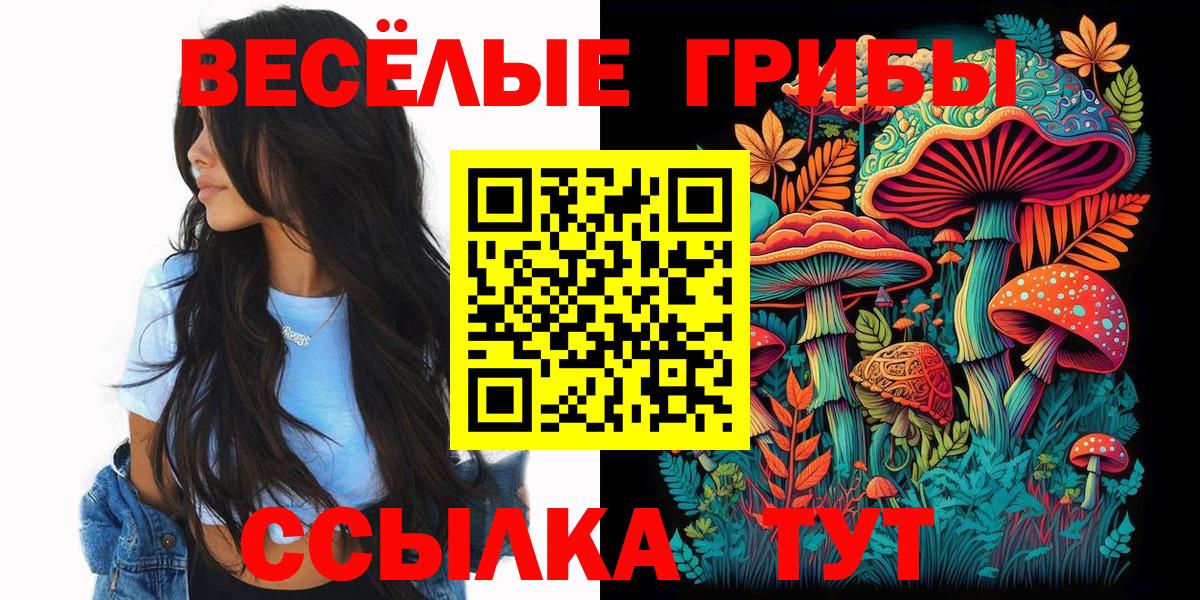 A PVP Рославль