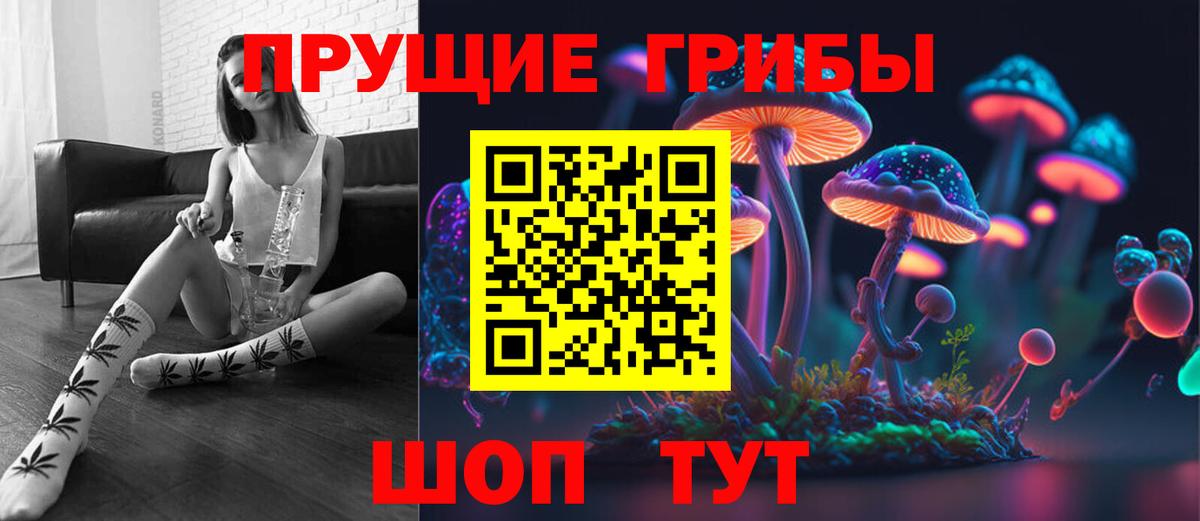 Псилоцибиновые грибы Psilocybe  Вход с VPN  где купить наркотик  Рославль 
